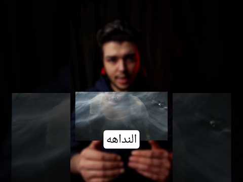 مكانش مصدق بوجدها فإوعا تعمل زيه (النداهه)