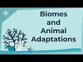 Biomes and Their Characteristics