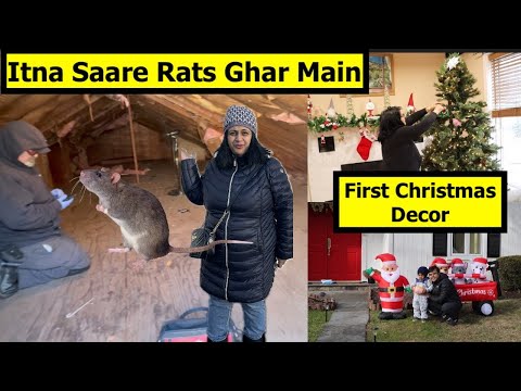 So Many RATS In My House | First Christmas Decoration | Simple Living Wise Thinking