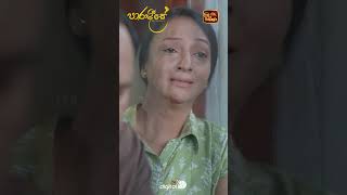 අන්තිමට දෙමව්පියො තනි වෙනවා