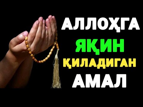 АЛЛОҲГА БОҒЛАНГАН БАНДА ЁЛҒИЗ ҚОЛМАЙДИ🎙 Шайх Нуриддин Холиқназар ҳазратлари