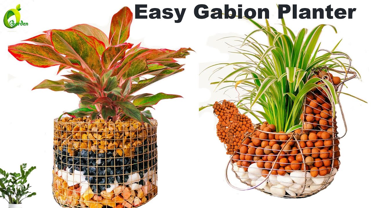 Transform Your Garden Into An Eco-haven With The Innovative Cabion Planter For Organic Gardening!