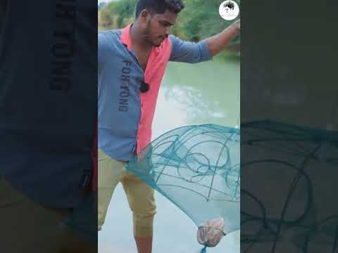 இப்படியும் மீன் பிடிக்கலாம் ..Full Chiken In Fish Trap...😳 #mrsuncity