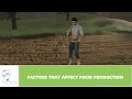 Factors Affecting Crop Yield
