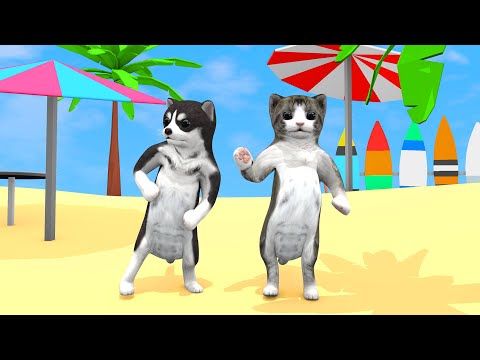 Dancing cat and dog at sea