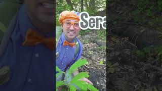 Di luar hutan 🌲