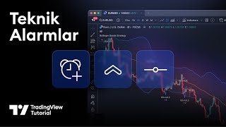 Alarm Sayısını İkiye Katlamak - Fiyat ile Teknik Alarm Karşılaştırması 🔔