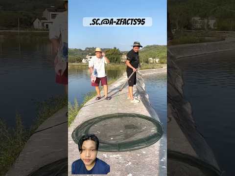 Memancing ikan 😱 #shortvideo