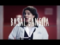 Basal Ganglia Functions and Structures