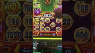 Shake that Bank! Over 100x my bet on Money In The Bank!