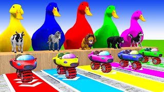 5 Giant Duck Cartoon,Cow,Elephant,Tiger,Lion,Dog, Paint Wild Animals Crossing Fountain Animation
