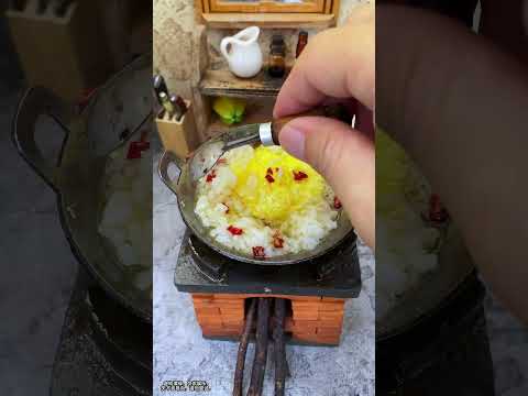 Fried rice without meat? Not willing to settle for less, luckily a fly came along! #MiniFoodToys