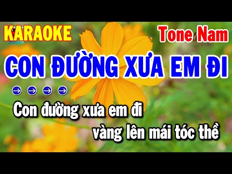 Karaoke Con Đường Xưa Em Đi Tone Nam Nhạc Sống Trữ Tình Dễ Hát | Thanh Hải