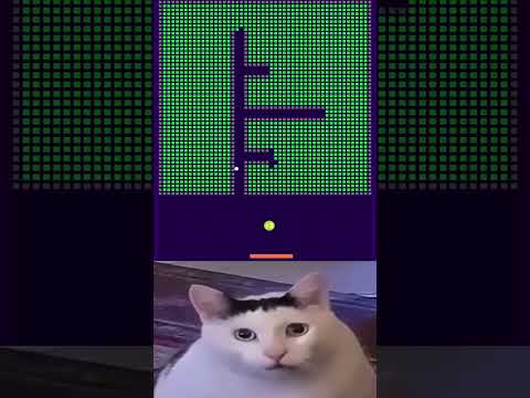 huh? chipi chipi chapa chapa #cat #cute #chipichipi #huhcat #brickbreaker #shorts