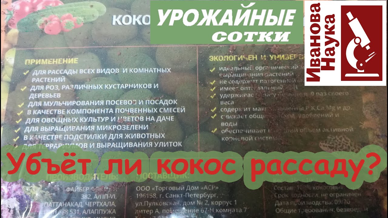 Самое главное правило подготовки кокоса к посеву семян и посадке рассады