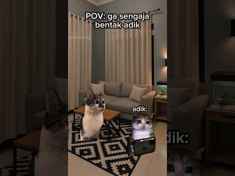 ga sengaja #kucing #kucingsedih #kucinglucu