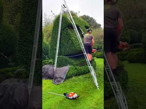 Satisfying Gardening Work ? #garden #gardening #satisfying #cleaning  #grass #lawn #viral #fyp #14