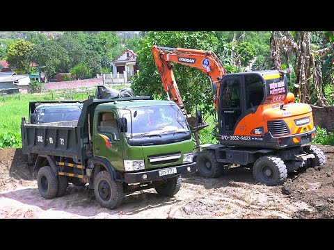 Xe Ô Tô Tải Ben Chở Và Đổ Đất, Máy Xúc Doosan DX55W Làm Việc | Excavator Dump Truck | TienTube TV