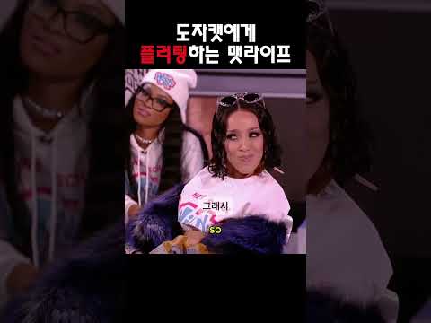 도자캣에게 플러팅하는 맷라이프 @MattRifeComedy #맷라이프