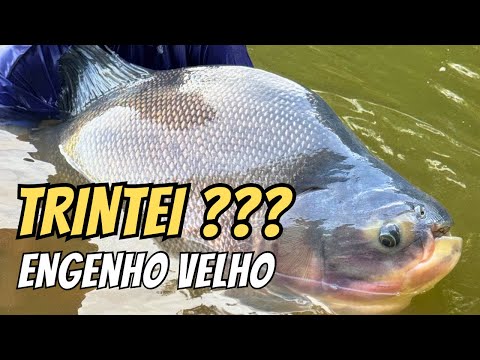 INVERNO NO GOIÁS : TRINTEI NO ENGENHO VELHO