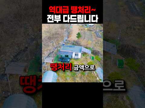 이 전부를 땡처리 가격으로