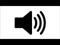 Understanding the Transcript