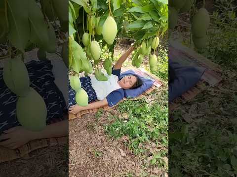 #타임랩스, 처음부터 끝까지 혼자 짓는 통나무집(목조주택), 목조주택 짓는 방법, 생존