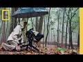 Wildlife Cinematography and Technological Advancements