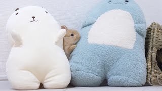 初めてぬいぐるみを見た赤ちゃんうさぎ