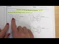Understanding Mapping Diagrams and Functions