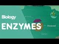 Enzyme Activity and Denaturation Concepts