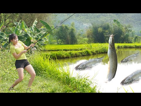 Amazing fishing | village pretty girl fishing catch big fish at pond - daily bushcraft