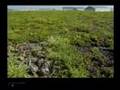 Sustainable Design Concepts and Challenges