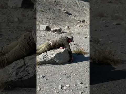 Let’s see how you trap the chakoor #mountains #nature #adventure #hunting #wildlife #challenge