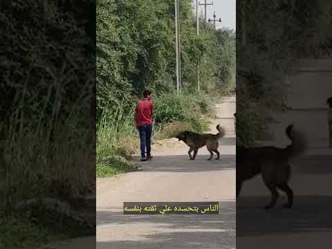 قلبه #جامد وواثق بنفسه 🤭🤭