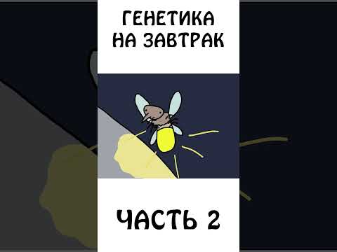 Как стать физиком или биологом #генетиканазавтрак #книга #наука #академияброкколи #шортс #физика