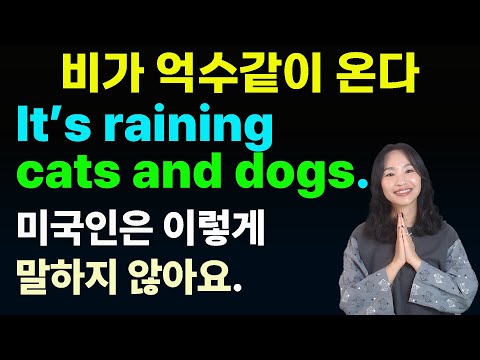 [영어 이디엄]외국인이 말하면 어색하다규?!ㅣ🎖️매일쓰는 실생활 표현으로 바꿔 말하기ㅣ실생활영어ㅣ기초영어회화ㅣ영문법 ㅣ성인영어