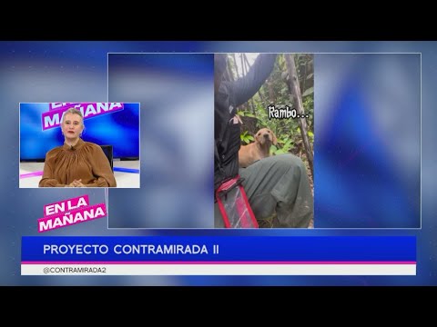 Mónica Miguel Franco nos habla del "Proyecto Contramirada II" | En La Mañana