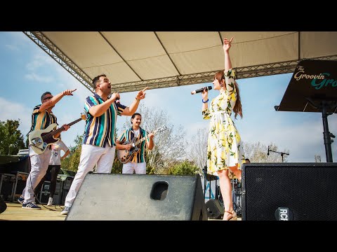 The Groovin’ Groupies - Rockin' ‘60s Band