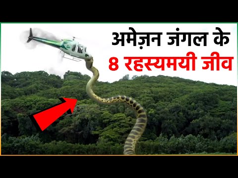 अमेज़न जंगल से जुड़े 8 रहस्य जिनसे कोई पर्दा नहीं हटा पाया | Amazing Facts About Amazon Rainforest