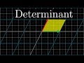 Understanding Determinants and Linear Transformations