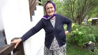 Babo/svekre tako vam Boga ne uskraćujte školovanje mojoj djeci