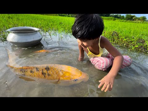 Amazing Fishing Video | Traditional Village Cute Girl Fishing By Hand in Mud Water