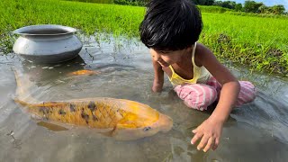 Amazing Fishing Video | Traditional Village Cute Girl Fishing By Hand in Mud Water