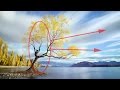 Understanding the Rule of Thirds in Photography