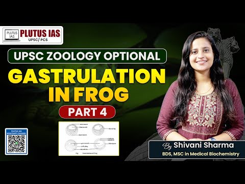 PLUTUS IAS | Zoology Optional for UPSC | Gastrulation in Frog Explained, P4 by Shivani Sharma #upsc