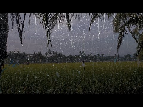 Beat Stress &amp; Goodbye Insomnia with Calm Rain and Thunder Sounds - Rain Sounds for Sleep