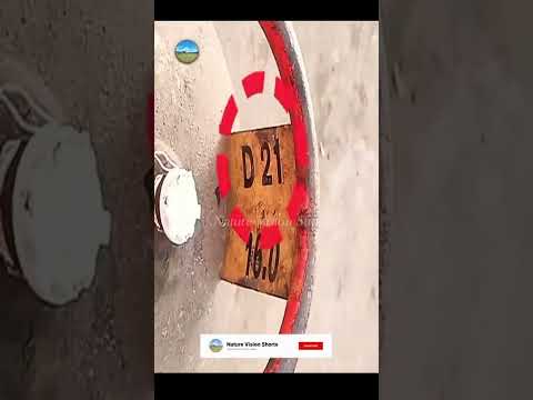 Gas cylinder expiry date? | கேஸ் சிலிண்டர் காலாவதி தேதியை எவ்வாறு கண்டறிவது? | Nature Vision Shorts