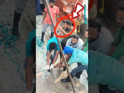 ওদের পরিবারের জন্য দোয়া করবেন 🤲 | Fisherman Families | BD KingFisher