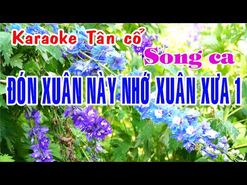 Karaoke tân cổ ĐÓN XUÂN NÀY NHỚ XUÂN XƯA 1 – SONG CA